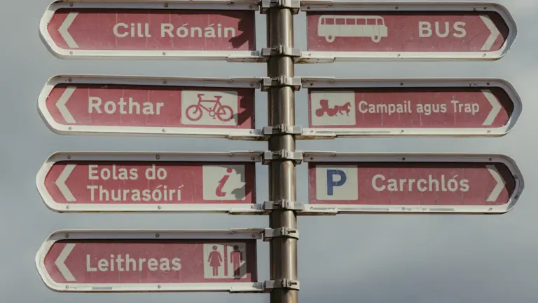 Europejski Dzień Języków: po co nam święto 26 września?